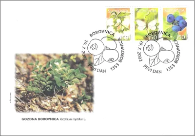 BOROVNICA - SADNE VRSTE V SLOVENIJI
